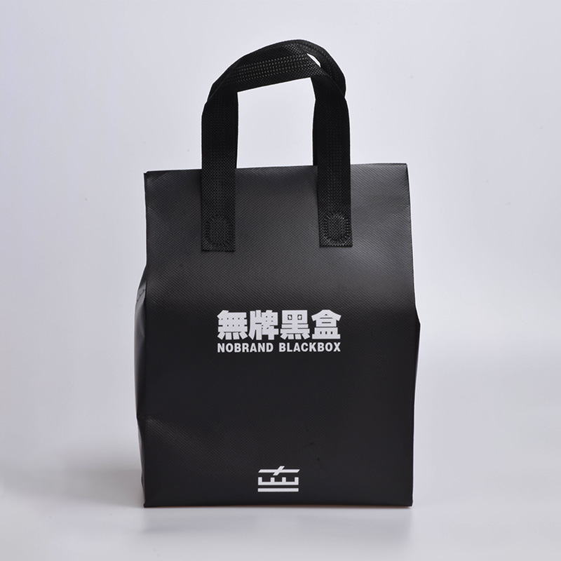 HANDLE BAG